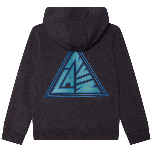 Picture of Lanvin Boys Grey And Blue Logo Hooded Sweatshirt