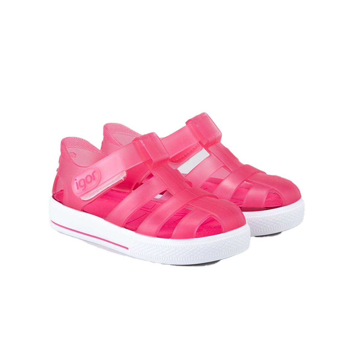 Picture of Igor Star Fuchsia Jellies