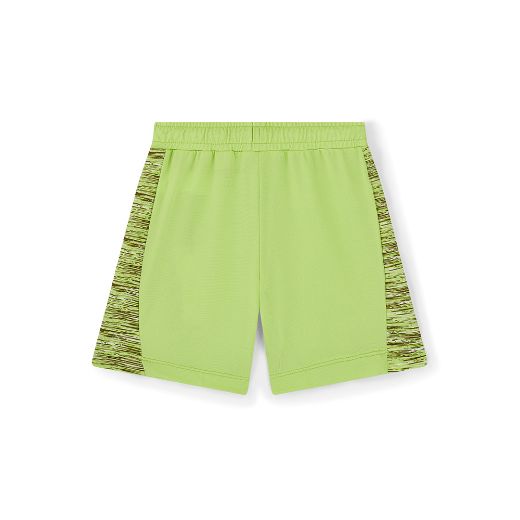 Picture of Mitch & Son Ron Lime Shorts