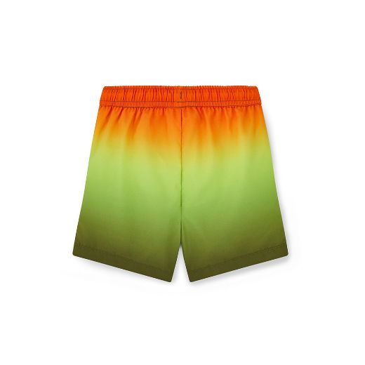Picture of Mitch & Son Reed Orange Shorts