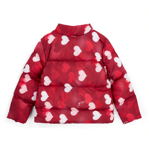 Picture of Bonini Dazzle Burgundy Printed Padded Jacket